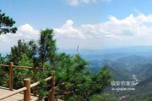 临安天目山