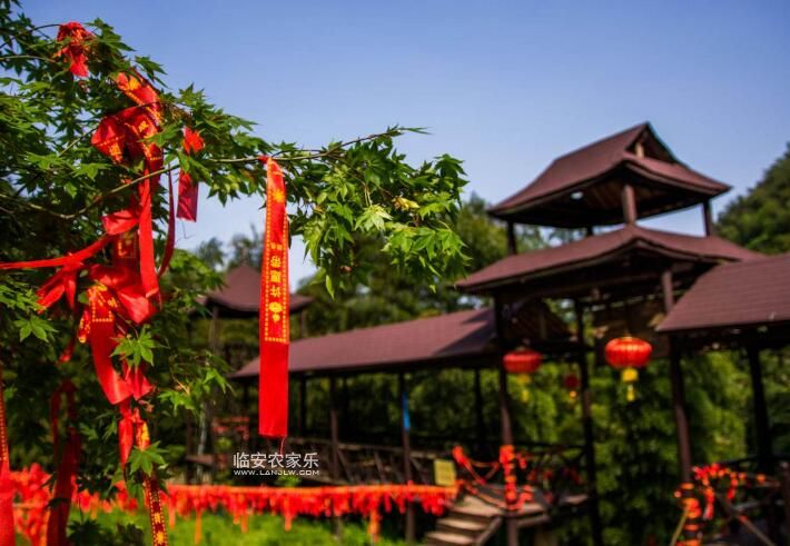 临安神龙川农家乐风景