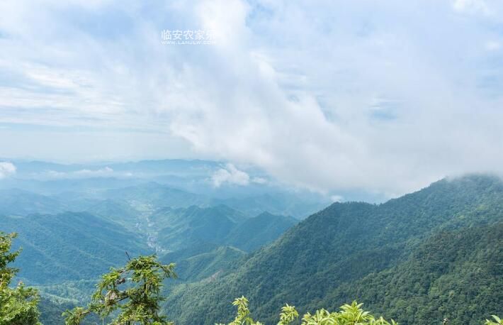 天目山农家乐