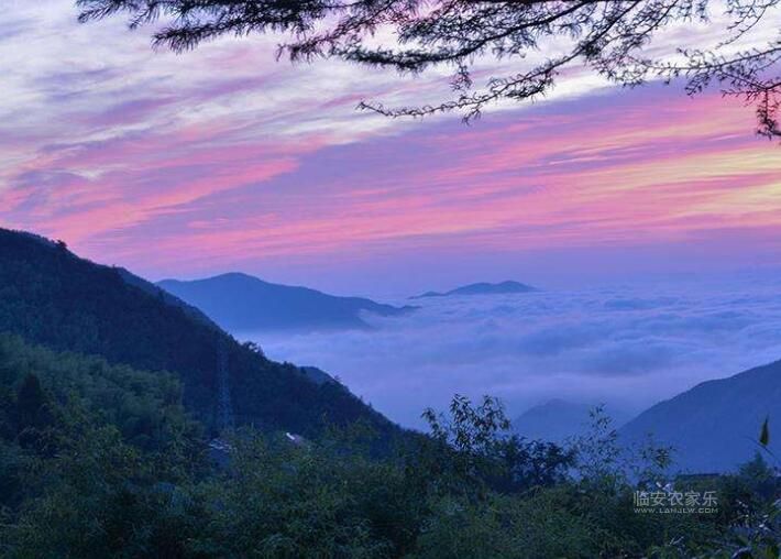 临安林家塘农家乐美景