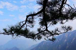 临安大明山