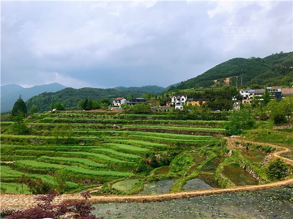 浙江临安农家乐休闲游